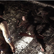Image for article titled Japan Is Even Censoring The Evil Within's "Uncensored" Version
